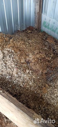 Навоз перепелов птичий. Удобрения бесплатно