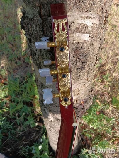 Классическая гитара