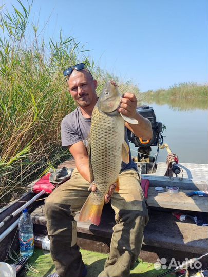 Рыбалка на щуку, сома, сазана