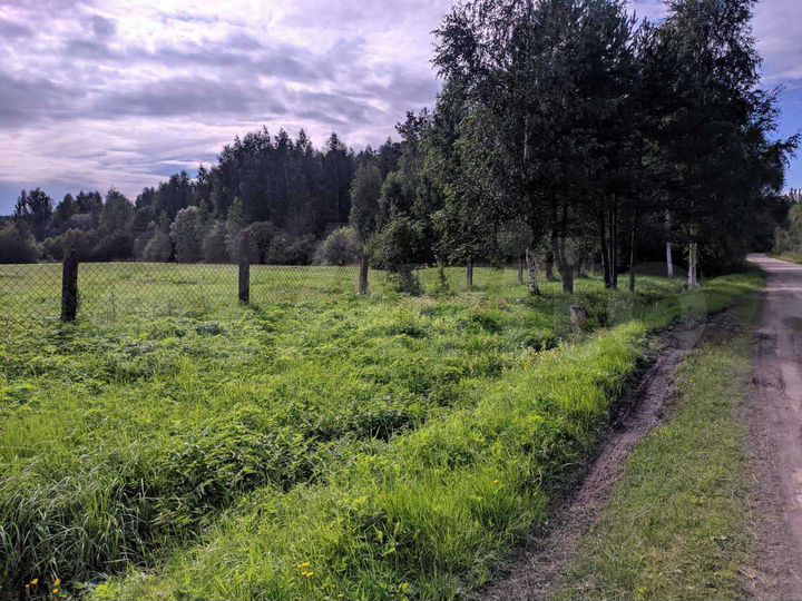 Участок 63 сот. (ИЖС)