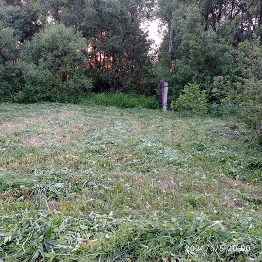 Участок 5 сот. (ИЖС)