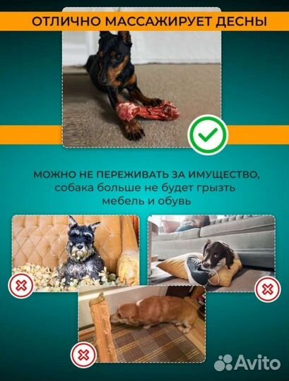 Новый грызунок для собак