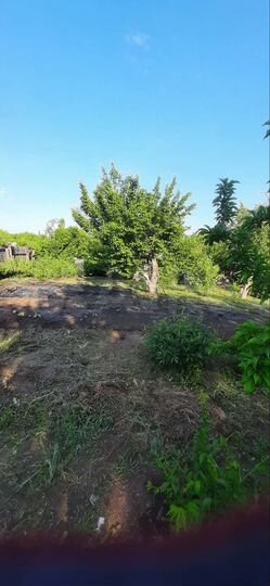 Участок 8 сот. (СНТ, ДНП)