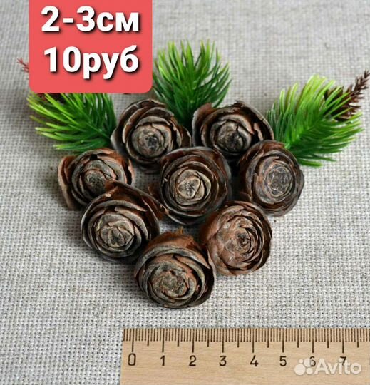 Шишки кедра гималайского(розочки).Сбор 2023