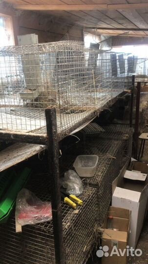 Клетка для кролика