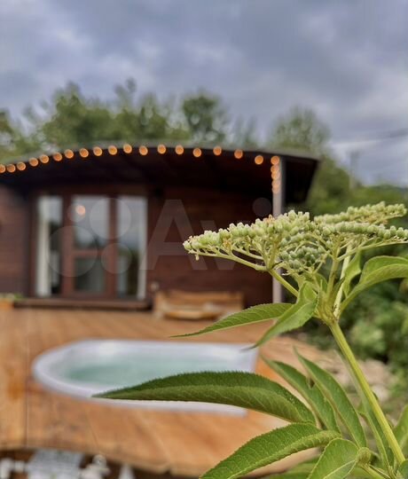 Дом 20 м² на участке 5 сот.