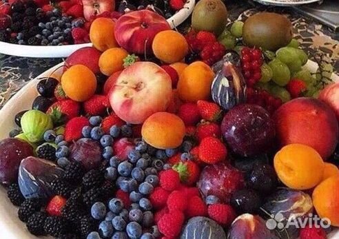 Очиститель-стерилизатор воздуха,жидкостей,продукто