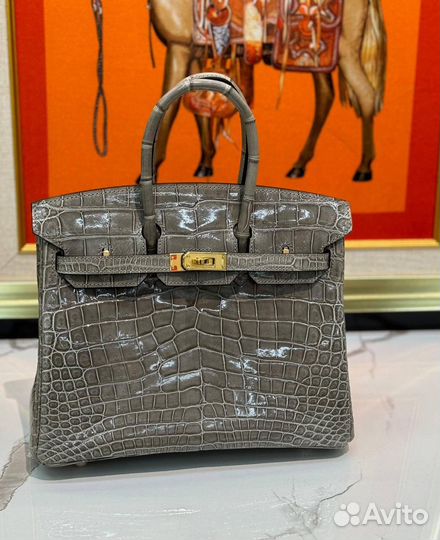 Сумка Hermes Birkin 25 Croco