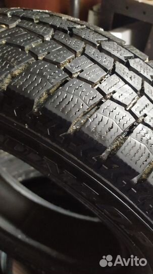 Dunlop Winter Maxx WM02 185/70 R14