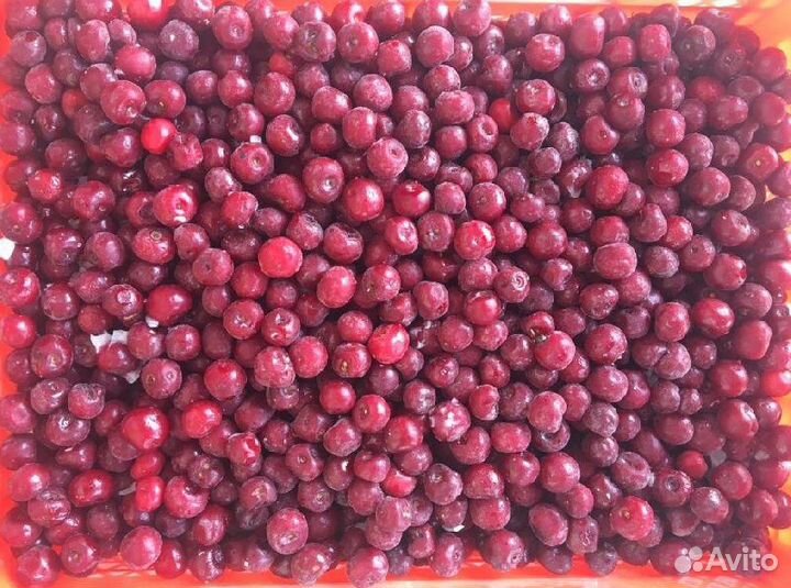 Вишня с косточкой Узбекистан замороженная коробка