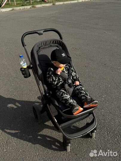 Коляска прогулочная rant flex pro