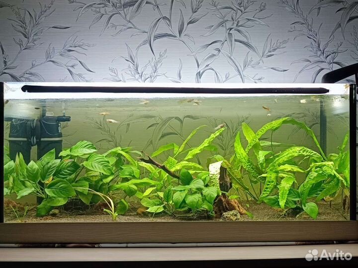 Аквариум 70 л