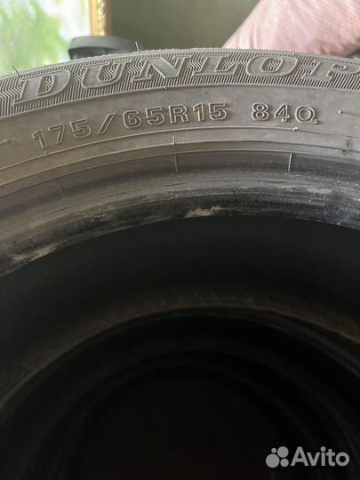 Dunlop SP Winter Maxx WM01 175/65 R15