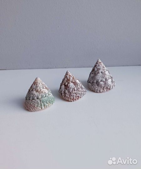 Морские ракушки Трохус