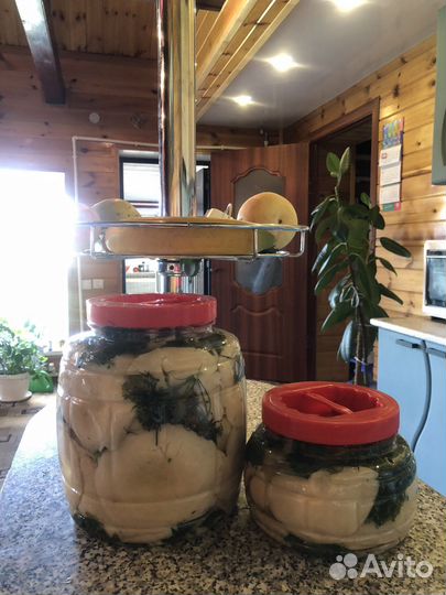 Грузди соленые