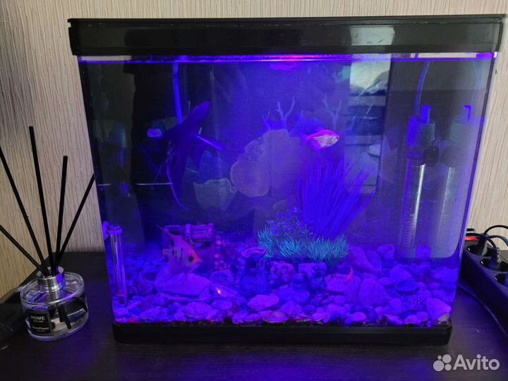 Аквариум 33 литра с рыбками