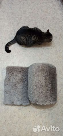 Домик для кошки новый