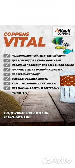 Корм для рыбок