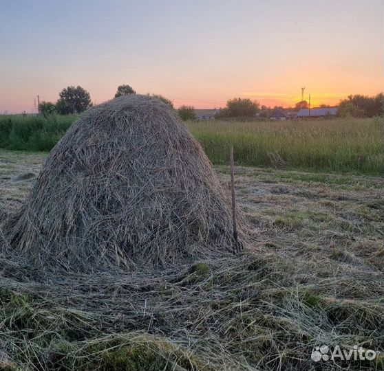 Сено в мешках Алтай