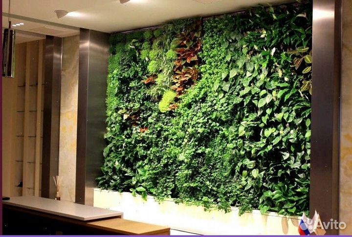 Фитокартина для природного уюта Арт: 215058