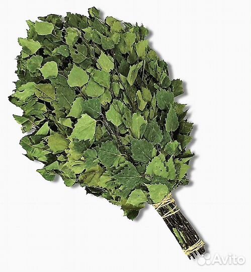 Березовый веник / Веник для бани