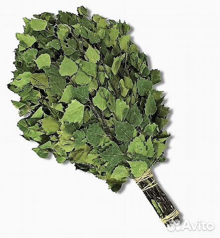 Березовый веник / Веник для бани