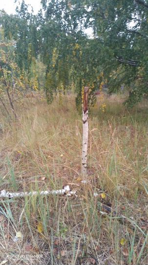 Участок 10 сот. (СНТ, ДНП)