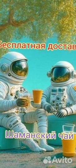 Чай пуэр « Космос шаманов » шмн11263