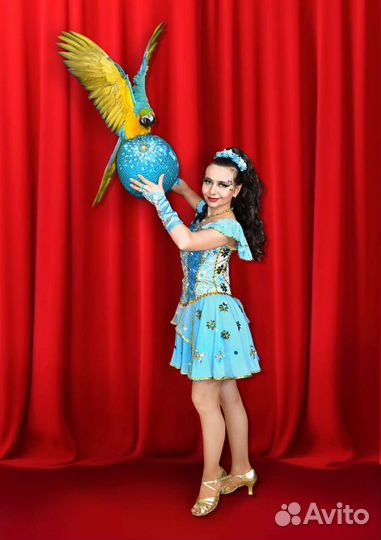 Цирковые животные на ваши праздники