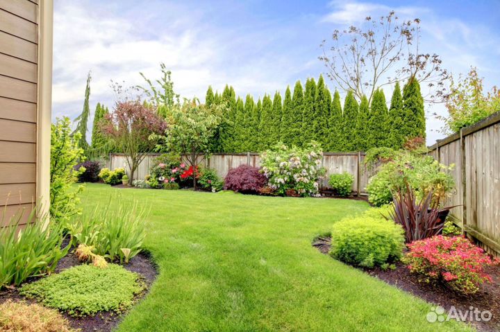 Рулонный газон производство,доставка,укладка