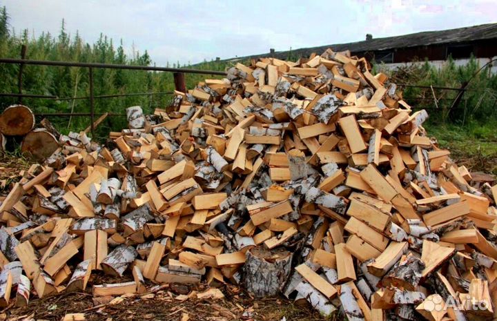 Дрова осинка
