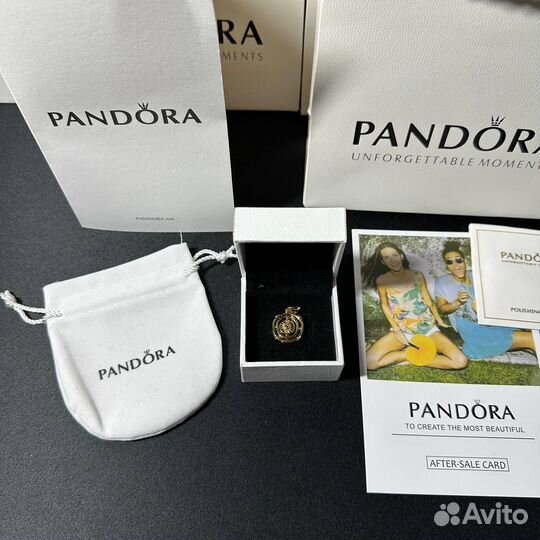 Шарм Pandora Игра Престолов Астролябия