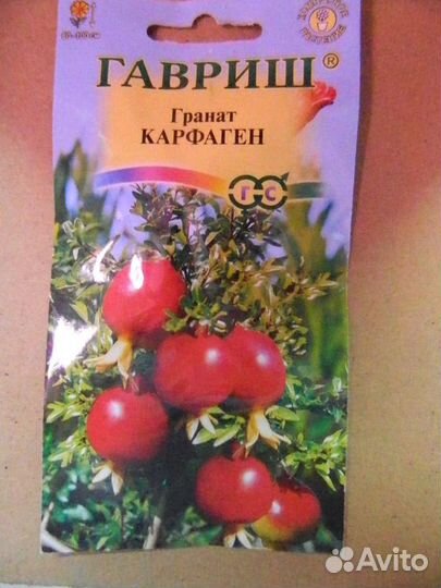 Семена комнатных и садовых растений