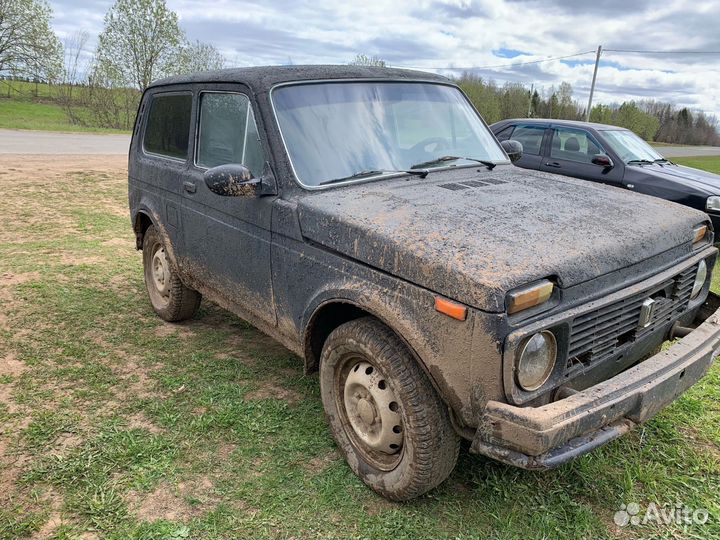 Кузов вборе