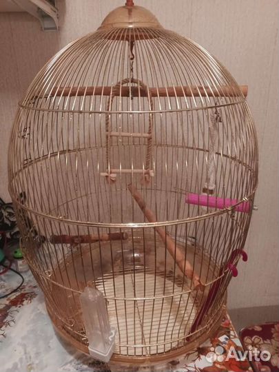 Клетка для попугая