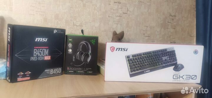 MSI vigor GK30 combo