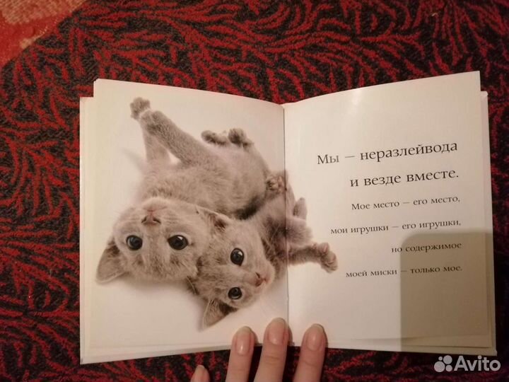 Книги про кошек