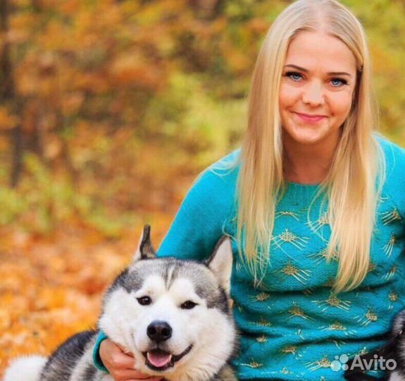 Вязка кобель