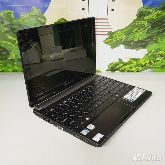 Нетбук PackardBell dots-C-261G32NKK