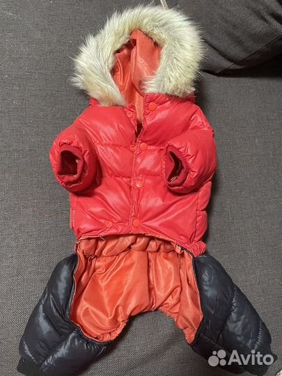 Одежда для собак