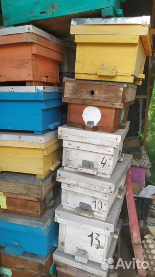 Улики для пчел