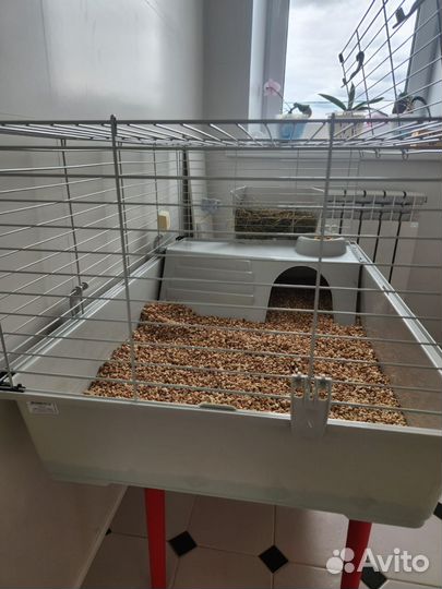 Клетка для морской свинки