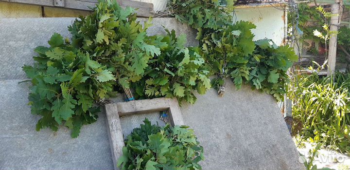 Веники дубовые для бани и сауны