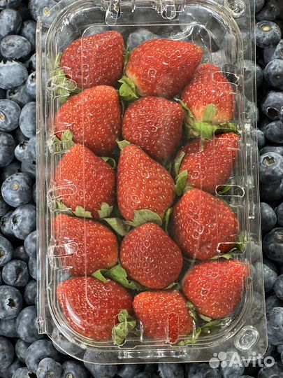 Клубника, ягода свежая в наличии