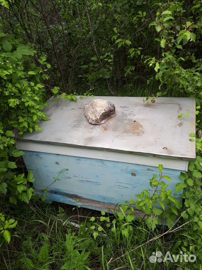 Продам улья пчелиные, бу