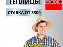 Работа - Брянск - Теплицы - Сборщик урожая