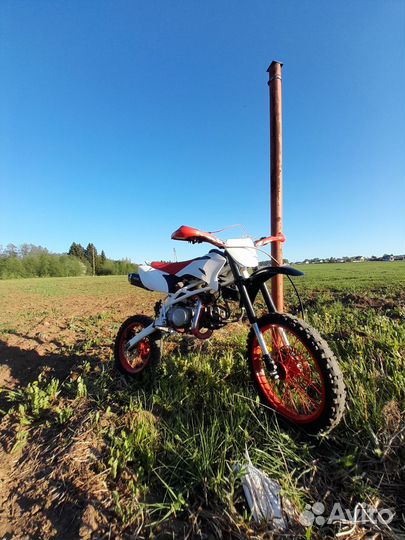 Питбайк Pitster PRO 140