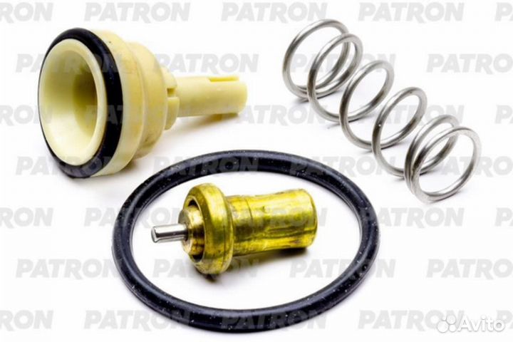 Термостат Skoda Octavia A5 FL