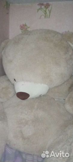 Плюшевый медведь