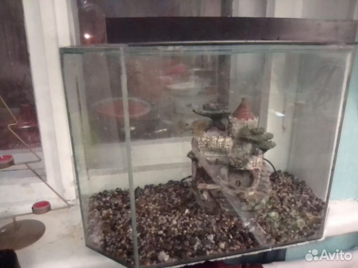 Аквариум